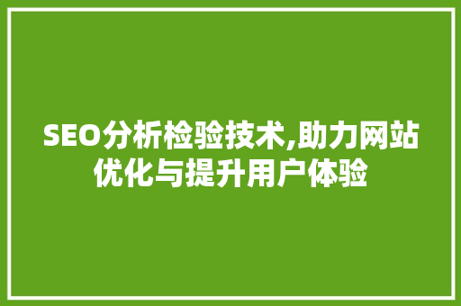 SEO分析检验技术,助力网站优化与提升用户体验