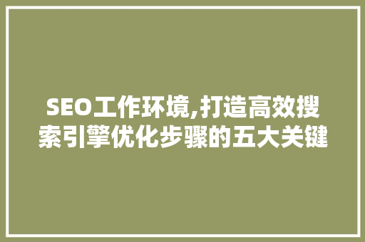 SEO工作环境,打造高效搜索引擎优化步骤的五大关键要素