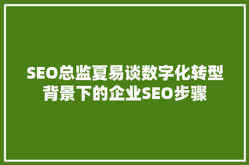 SEO总监夏易谈数字化转型背景下的企业SEO步骤