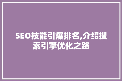 SEO技能引爆排名,介绍搜索引擎优化之路  第1张