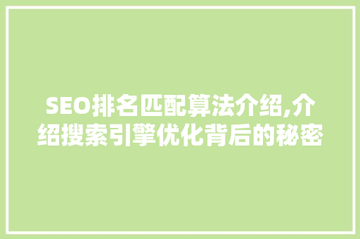 SEO排名匹配算法介绍,介绍搜索引擎优化背后的秘密
