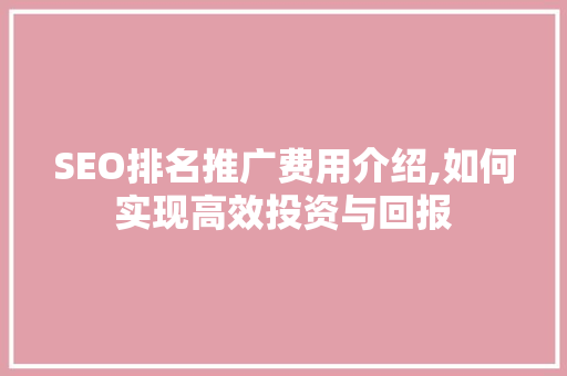 SEO排名推广费用介绍,如何实现高效投资与回报
