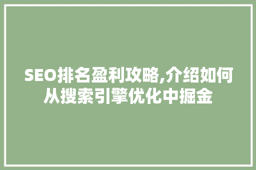 SEO排名盈利攻略,介绍如何从搜索引擎优化中掘金