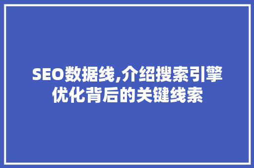 SEO数据线,介绍搜索引擎优化背后的关键线索