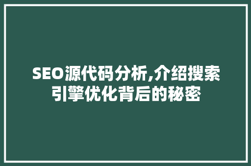 SEO源代码分析,介绍搜索引擎优化背后的秘密  第1张