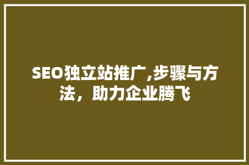 SEO独立站推广,步骤与方法，助力企业腾飞