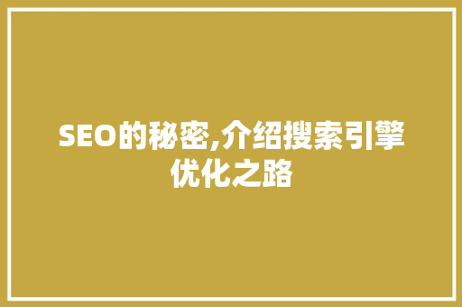 SEO的秘密,介绍搜索引擎优化之路