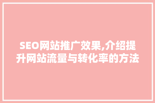 SEO网站推广效果,介绍提升网站流量与转化率的方法