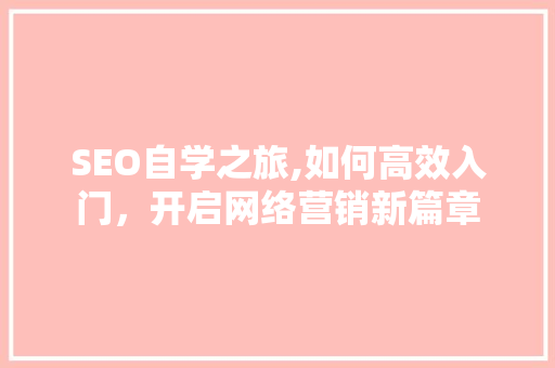 SEO自学之旅,如何高效入门，开启网络营销新篇章