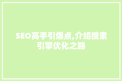SEO高手引爆点,介绍搜索引擎优化之路