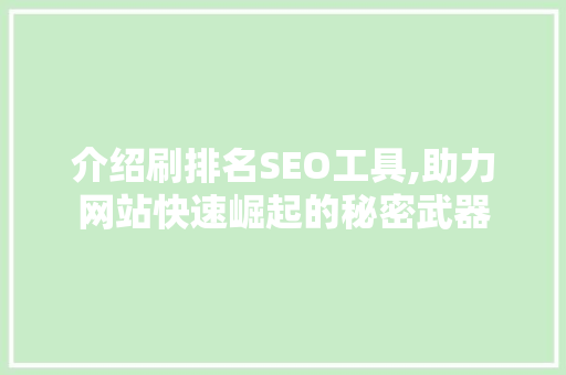 介绍刷排名SEO工具,助力网站快速崛起的秘密武器