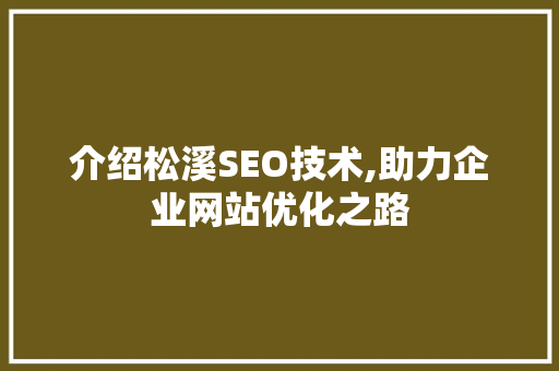 介绍松溪SEO技术,助力企业网站优化之路