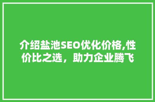 介绍盐池SEO优化价格,性价比之选，助力企业腾飞