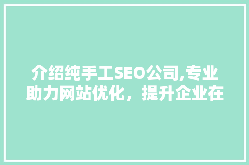 介绍纯手工SEO公司,专业助力网站优化，提升企业在线竞争力