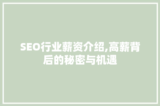 SEO行业薪资介绍,高薪背后的秘密与机遇