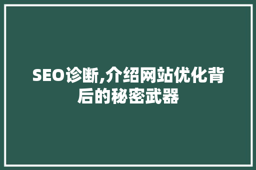 SEO诊断,介绍网站优化背后的秘密武器