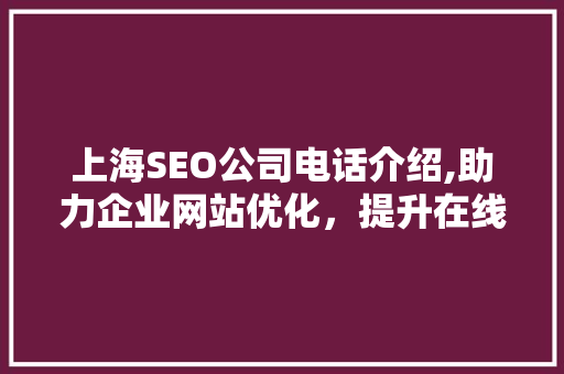 上海SEO公司电话介绍,助力企业网站优化，提升在线竞争力