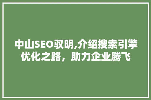 中山SEO驭明,介绍搜索引擎优化之路，助力企业腾飞  第1张