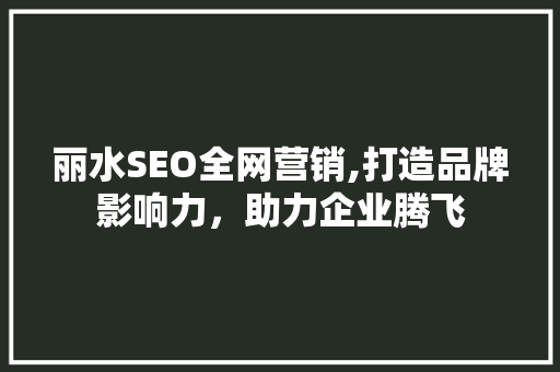 丽水SEO全网营销,打造品牌影响力，助力企业腾飞