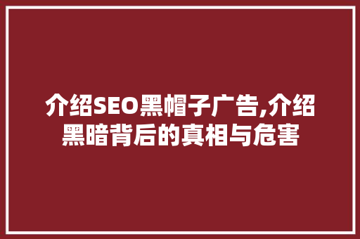 介绍SEO黑帽子广告,介绍黑暗背后的真相与危害