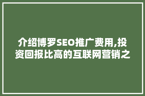 介绍博罗SEO推广费用,投资回报比高的互联网营销之路