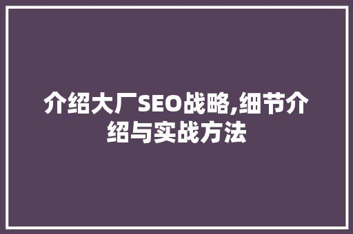 介绍大厂SEO战略,细节介绍与实战方法  第1张