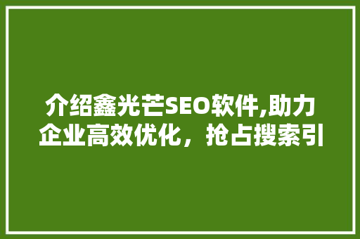 介绍鑫光芒SEO软件,助力企业高效优化，抢占搜索引擎排名高地