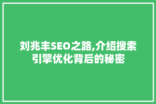 刘兆丰SEO之路,介绍搜索引擎优化背后的秘密