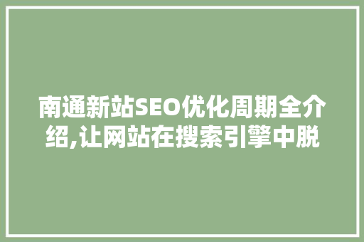 南通新站SEO优化周期全介绍,让网站在搜索引擎中脱颖而出