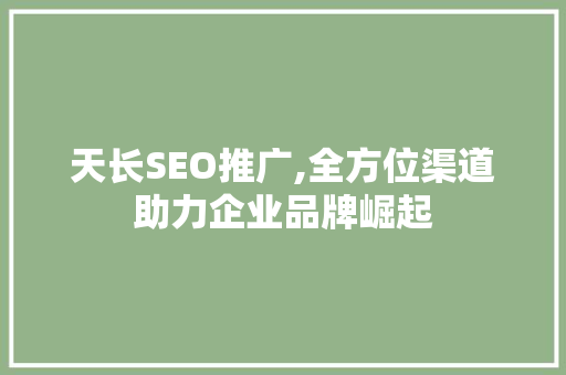 天长SEO推广,全方位渠道助力企业品牌崛起