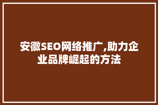 安徽SEO网络推广,助力企业品牌崛起的方法