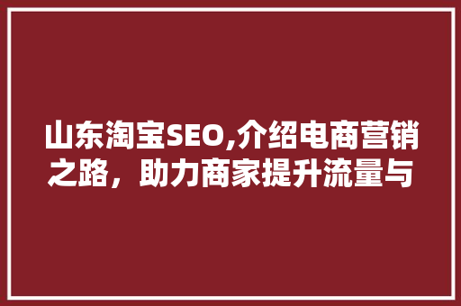 山东淘宝SEO,介绍电商营销之路，助力商家提升流量与转化率