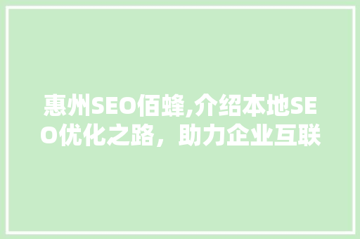 惠州SEO佰蜂,介绍本地SEO优化之路，助力企业互联网营销新高度
