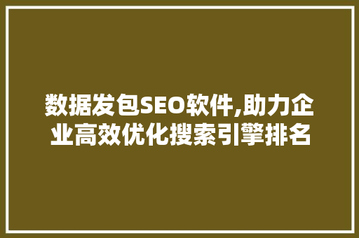 数据发包SEO软件,助力企业高效优化搜索引擎排名  第1张