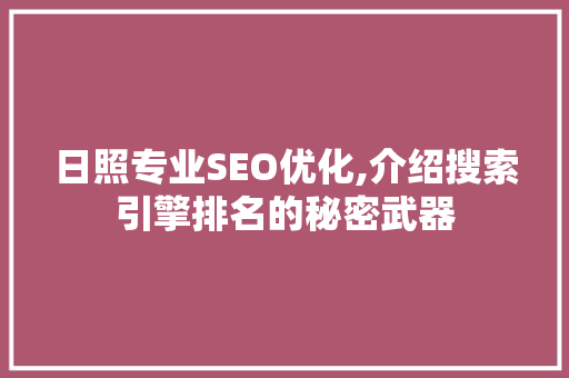 日照专业SEO优化,介绍搜索引擎排名的秘密武器