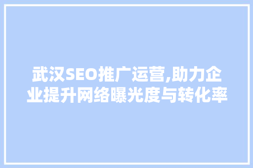 武汉SEO推广运营,助力企业提升网络曝光度与转化率