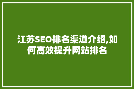 江苏SEO排名渠道介绍,如何高效提升网站排名  第1张
