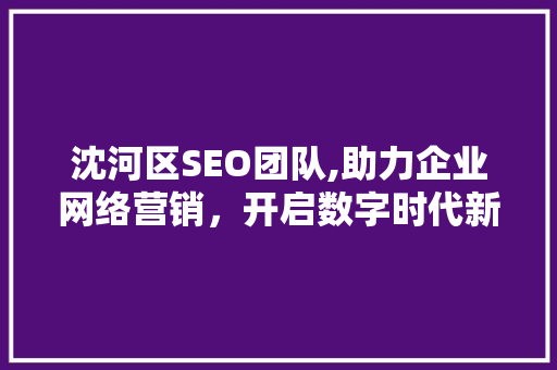 沈河区SEO团队,助力企业网络营销，开启数字时代新篇章