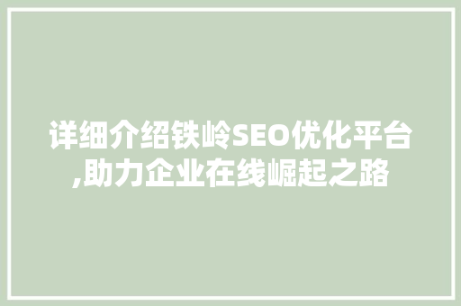 详细介绍铁岭SEO优化平台,助力企业在线崛起之路