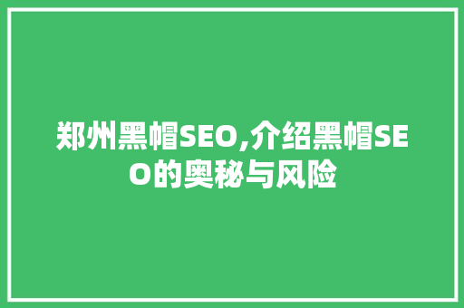 郑州黑帽SEO,介绍黑帽SEO的奥秘与风险