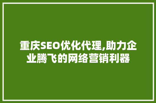 重庆SEO优化代理,助力企业腾飞的网络营销利器