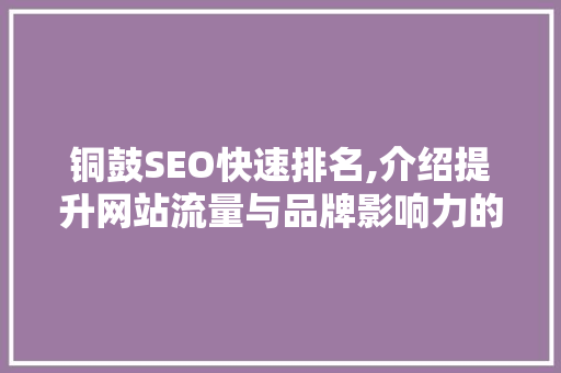铜鼓SEO快速排名,介绍提升网站流量与品牌影响力的秘密武器