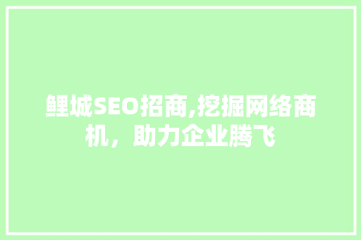 鲤城SEO招商,挖掘网络商机，助力企业腾飞  第1张
