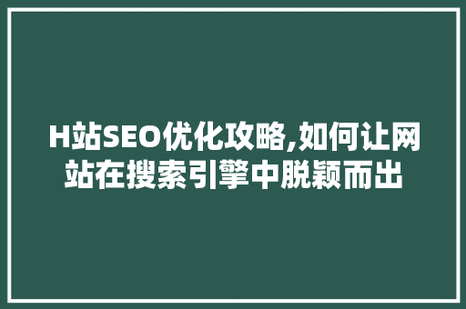 H站SEO优化攻略,如何让网站在搜索引擎中脱颖而出  第1张