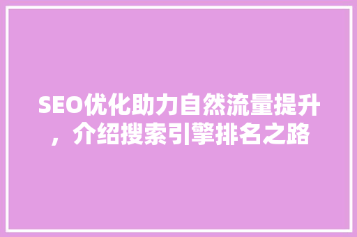 SEO优化助力自然流量提升，介绍搜索引擎排名之路  第1张