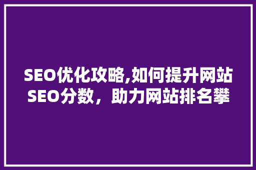 SEO优化攻略,如何提升网站SEO分数，助力网站排名攀升