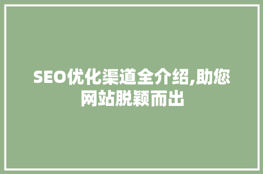 SEO优化渠道全介绍,助您网站脱颖而出