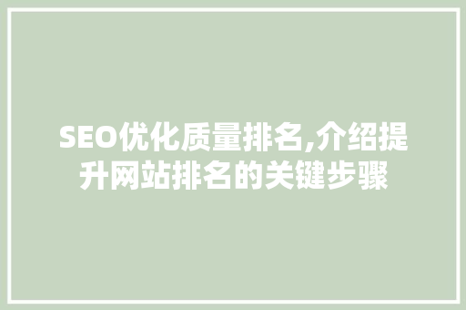 SEO优化质量排名,介绍提升网站排名的关键步骤