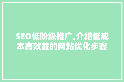 SEO低阶级推广,介绍低成本高效益的网站优化步骤