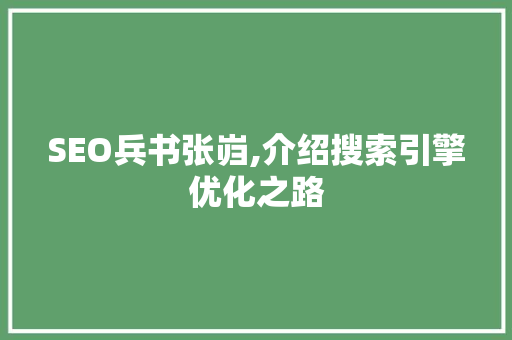 SEO兵书张岿,介绍搜索引擎优化之路